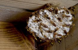 10 Tips To Get Your Home Ready For Spring